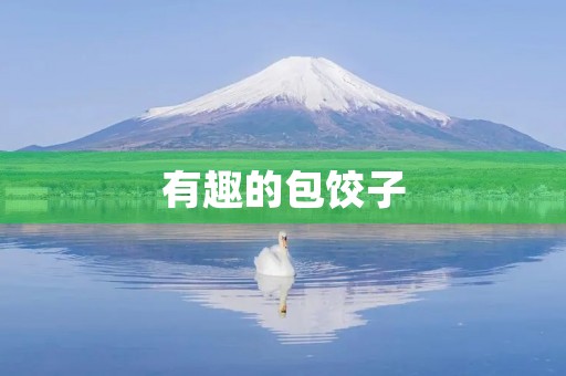 有趣的包饺子
