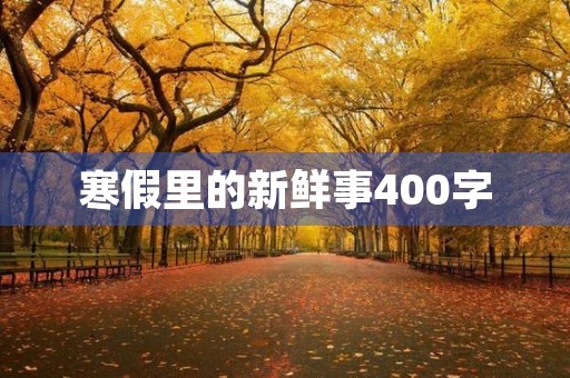 寒假里的新鲜事400字