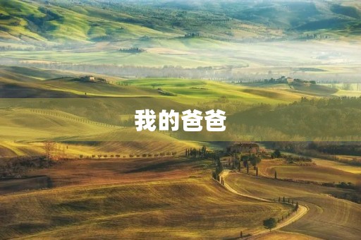 我的爸爸