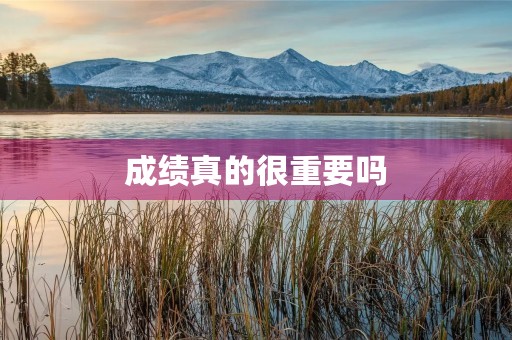 成绩真的很重要吗