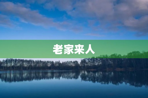 老家来人 老家来人
