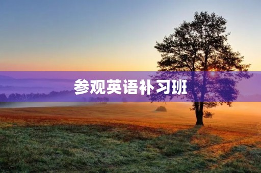参观英语补习班 参观英语补习班