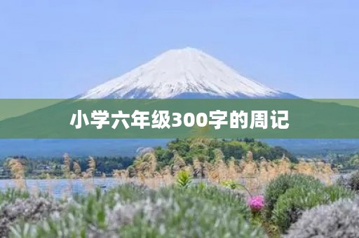 小学六年级300字的周记