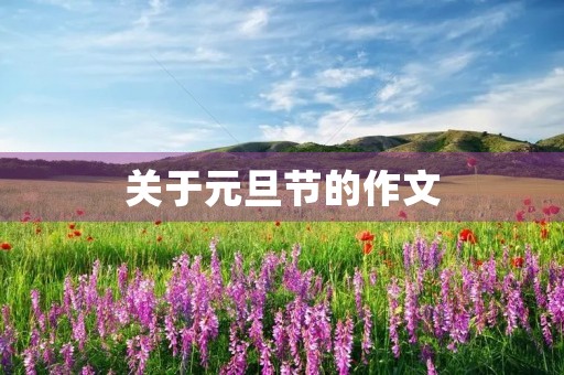关于元旦节的作文 关于元旦节的作文