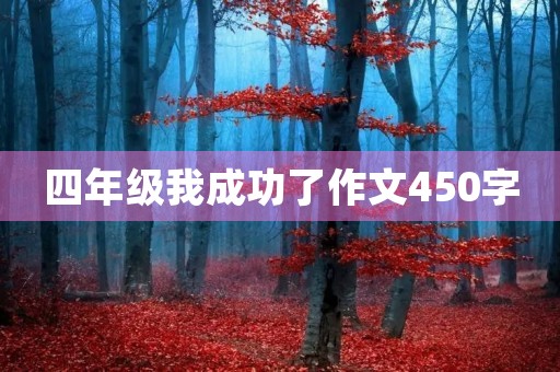 四年级我成功了作文450字 四年级我成功了作文450字