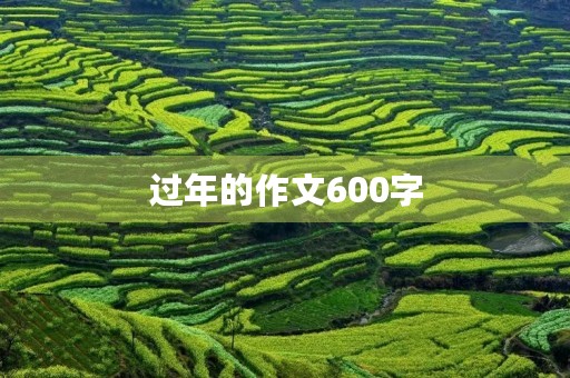 过年的作文600字 过年的作文600字