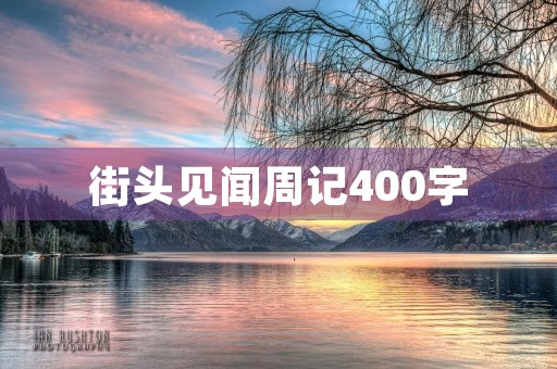 街头见闻周记400字