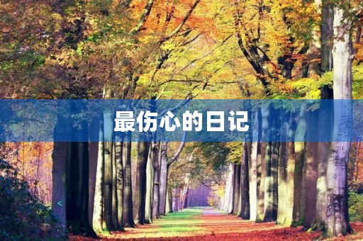 最伤心的日记 最伤心的日记