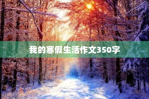我的寒假生活作文350字