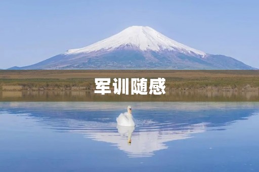 军训随感