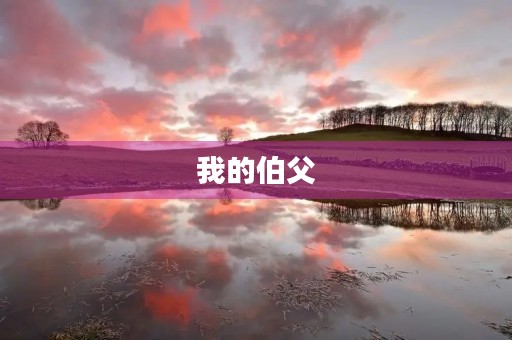 我的伯父 我的伯父