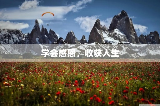 学会感恩,收获人生 学会感恩,收获人生