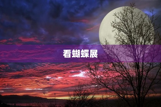 看蝴蝶展 看蝴蝶展