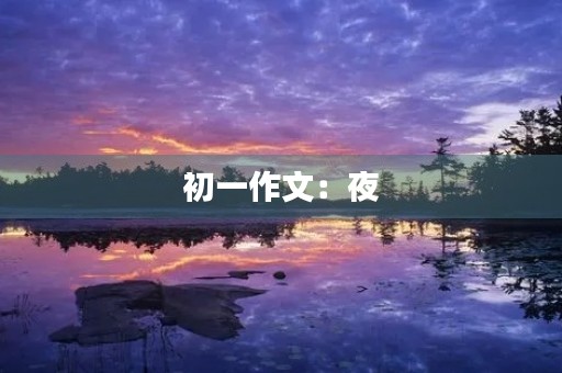 初一作文:夜 初一作文:夜