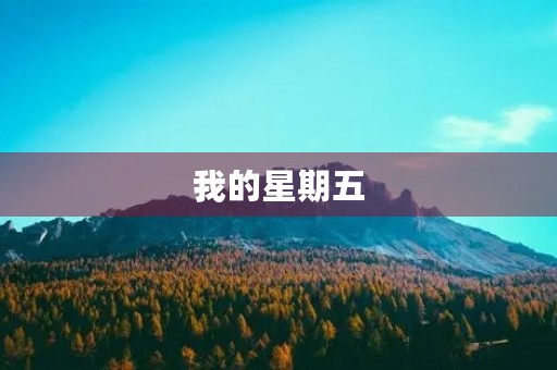 我的星期五 我的星期五