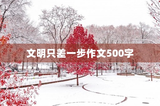 文明只差一步作文500字 文明只差一步作文500字