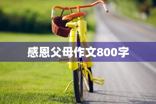 感恩父母作文800字 感恩父母作文800字