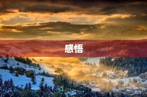 感悟 感悟