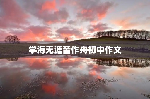 学海无涯苦作舟初中作文 学海无涯苦作舟初中作文