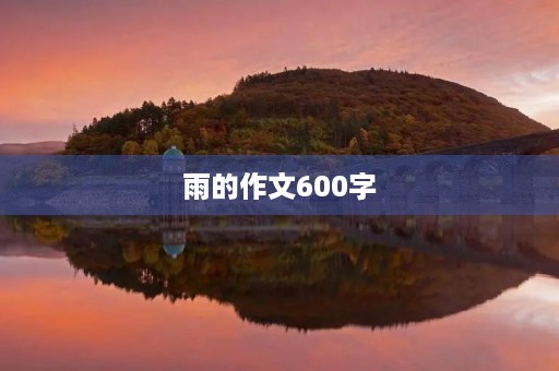 雨的作文600字 雨的作文600字
