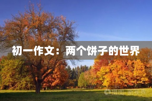初一作文：两个饼子的世界