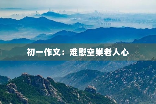 初一作文：难慰空巢老人心