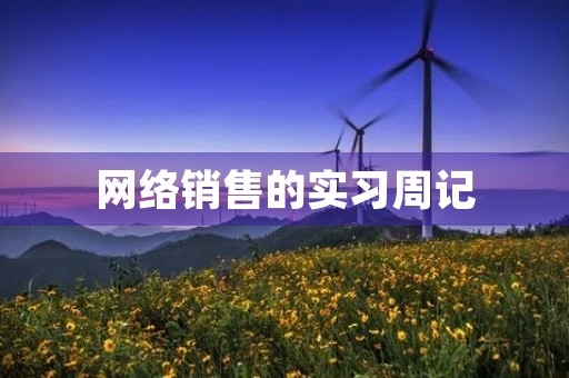 网络销售的实习周记 网络销售的实习周记