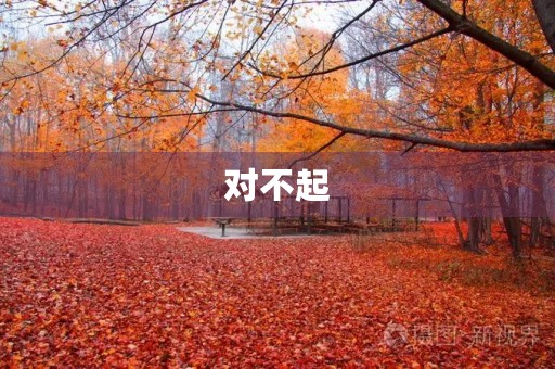 对不起