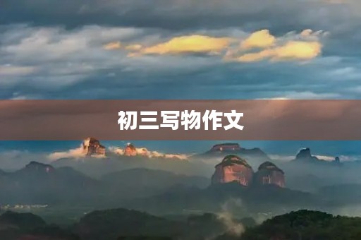 初三写物作文