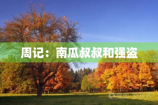 周记:南瓜叔叔和强盗 周记:南瓜叔叔和强盗