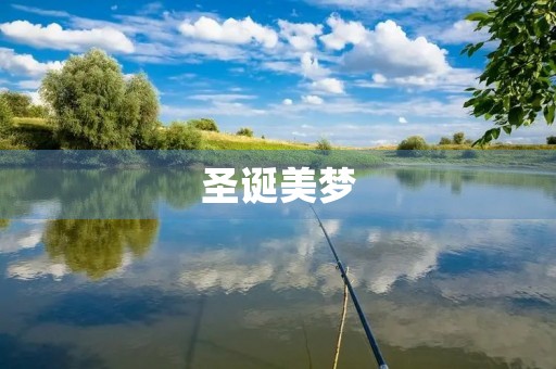 圣诞美梦 圣诞美梦