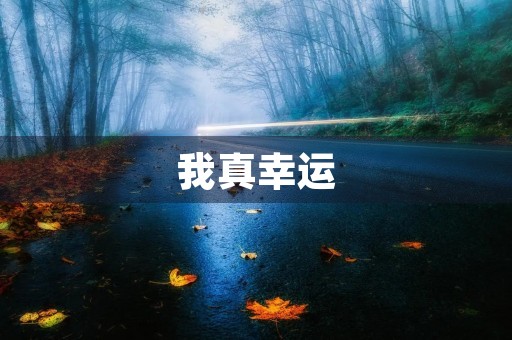 我真幸运 我真幸运