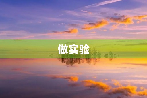 做实验 做实验