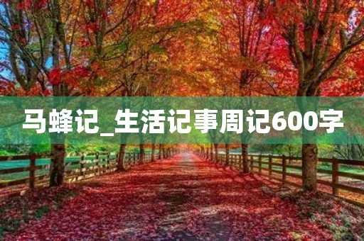 马蜂记_生活记事周记600字 马蜂记_生活记事周记600字