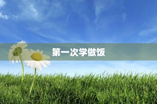 第一次学做饭 第一次学做饭