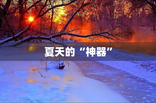 夏天的“神器” 夏天的“神器”
