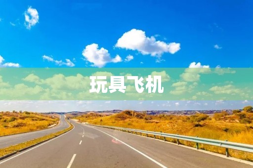 玩具飞机