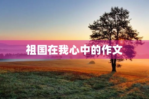 祖国在我心中的作文