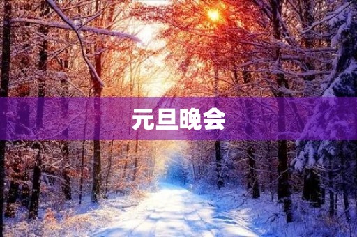 元旦晚会 元旦晚会
