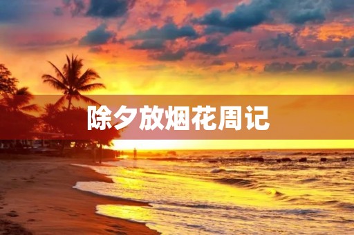 除夕放烟花周记