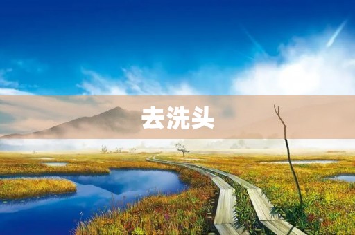 去洗头 去洗头