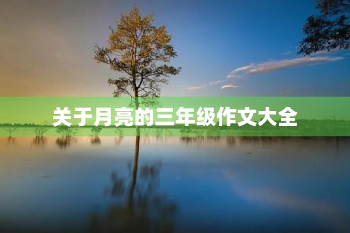关于月亮的三年级作文大全 关于月亮的三年级作文大全