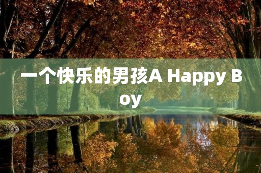 一个快乐的男孩A Happy Boy