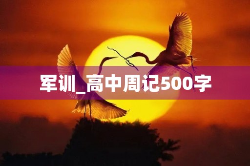 军训_高中周记500字 军训_高中周记500字