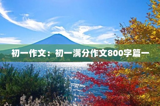 初一作文：初一满分作文800字篇一