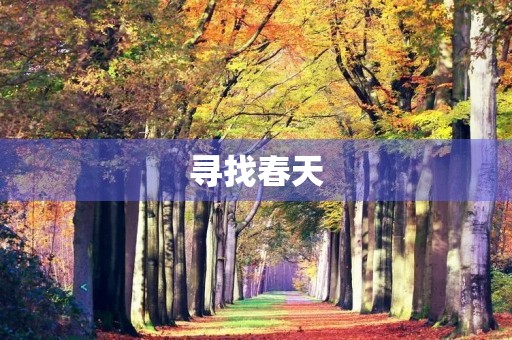 寻找春天