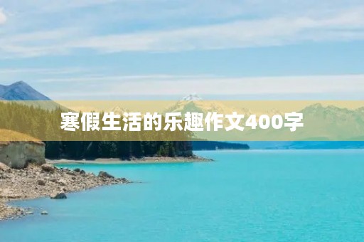 寒假生活的乐趣作文400字