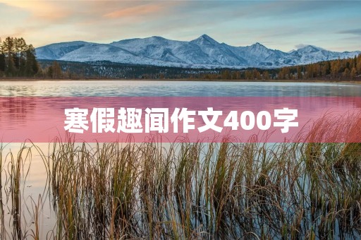 寒假趣闻作文400字