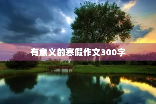有意义的寒假作文300字 有意义的寒假作文300字