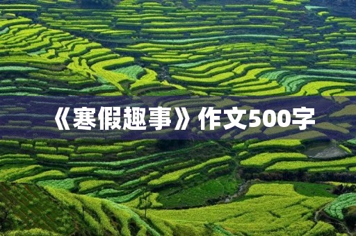 《寒假趣事》作文500字 《寒假趣事》作文500字